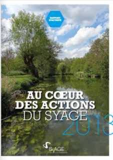 au coeur des actions du syage 2013